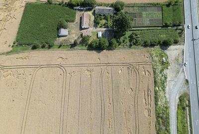 Teren Construcții intravilan de 7653 mp, în Nord - 11