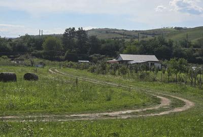 Teren de 1600 mp, în Cara - 5