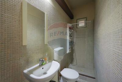 Casa / Vila cu 4 camere de vanzare Ultracentral Str. Louis Pasteur - 11