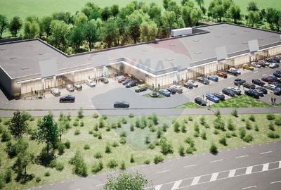 Teren Construcții intravilan de 14165 mp, în Ciolpani - 1