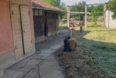 Casă cu 3 camere cu Teren 1200 Mp în Central - 10