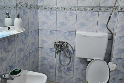 Garsonieră semidecomandată în Timișoara - 5