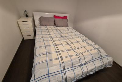 Apartament cochet -vecin parcul Botanic, intre Piata UNIRII și IULIUS MALL - 9