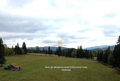 Teren 2804 mp, la munte! In Bucovina Fundu Moldovei! - 19