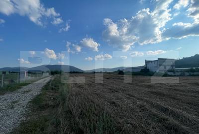 Oportunitate investitie: 56 ari in zona industriala, acces din principala - 2