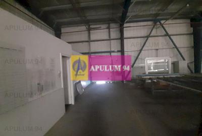 Spațiu industrial, de 4,850 mp, în 1 Decembrie - 54