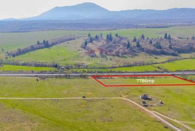 Teren de 7786 mp, în Vlădeni - 3