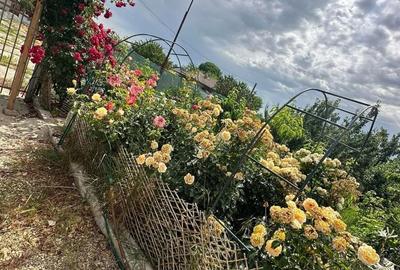 Casă cu 4 camere în Dorobanțu - 6