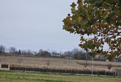 Spațiu comercial, în Paltin - 5