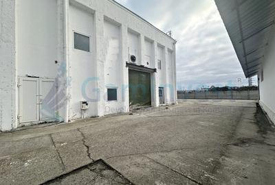 Spațiu industrial, de 360 mp, în Nufărul