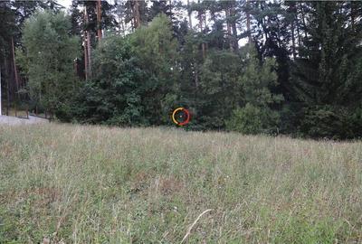 Teren intravilan cu PUZ si PUD 2 loturi - 8