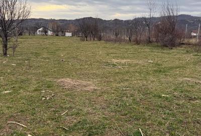 Spațiu comercial, în Brebu - 1