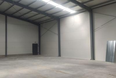 Spațiu comercial, de 540 mp, în Moara Domnească - 3