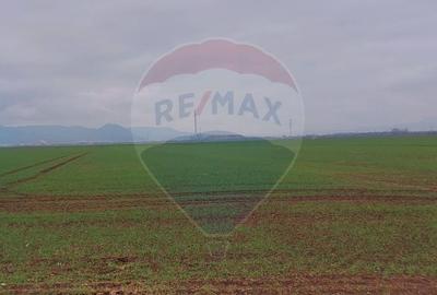 Comision 0 %! Teren extravilan, 21,175 mp Harman - 2