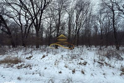 Spațiu comercial, în Berești