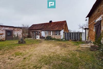 Reziden?a de vis pe Valea Mure?ului la Lala?in? - 36