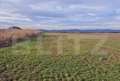 Teren intravilan, 8700mp,Prejmer - 1