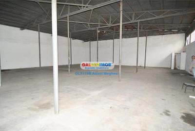 Inchiriere spatii depozitare suprafete intre 500 mp si 11000 mp - 23