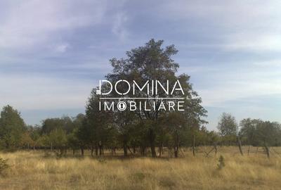 Teren Construcții intravilan de 6843 mp, în Polovragi - 6