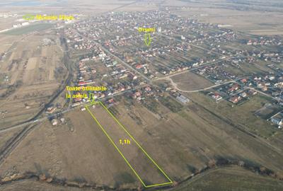 Teren Construcții intravilan de 10970 mp, în Moșnița Nouă
