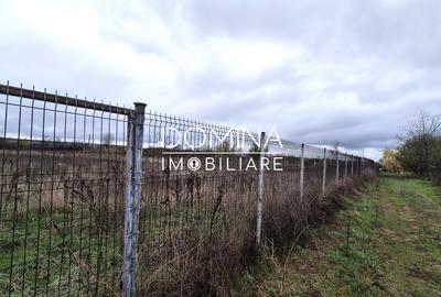 Teren Construcții intravilan de 6524 mp, în Iezureni - 7