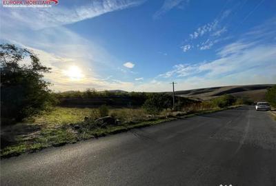 Teren în Somova - 2