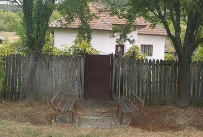 Casă cu 5 camere cu Teren 3200 Mp în Stângăceaua - 2