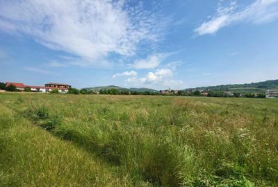 Teren intravilan, 1800mp, Gusterita - 3