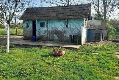 Casă cu 2 camere cu Teren 2870 Mp în Central - 8