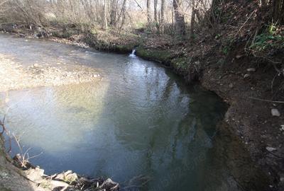 Proprietar vand casa de vacanta in Muntii Poiana Ruscai - 6