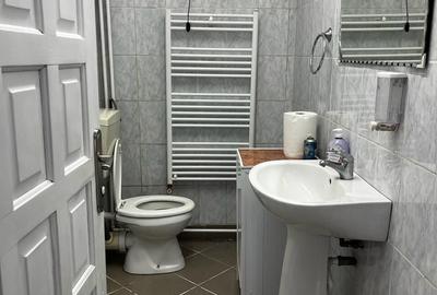 Spatiu industrial productie/ depozitare, Timiș - 39