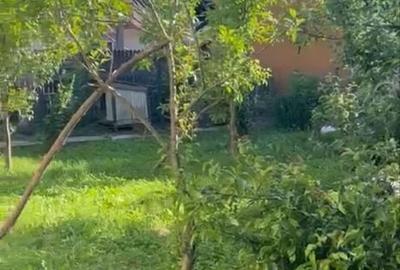 Casă cu 3 camere în Ostrovu - 4