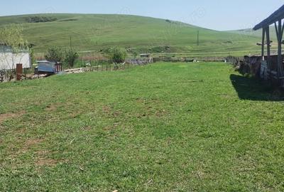 Teren de 580 mp, în Dezmir - 7