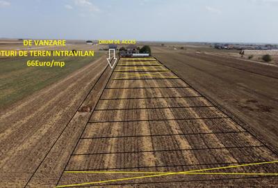 Teren de 482 mp, în Berceni
