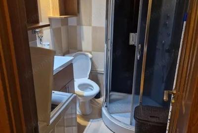 Garsoniera 35 mp Brazda lui Novac Pet Friendly - 2