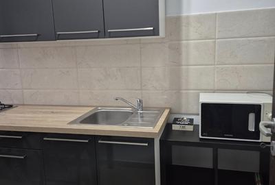 Garsoniera Virtuții/Orsova - 5