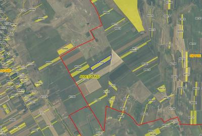 Persoana fizica - teren extravilan agricol Sipote, Jud. Iasi, 46500 mp - 4
