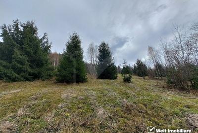 Oportunitate unica! 5ha + 2 cabane de vacanta in Valea Ierii - 5