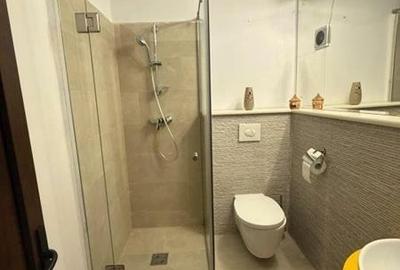 Calea Mosilor, apartament  2 camere, mobilat si utilat Calea Mosilor, apartament  2 camere, mobilat si utilat - 9