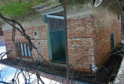 Casă cu 2 camere cu Teren 2900 Mp în Lupoaia - 3