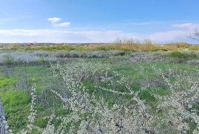 Mogosoaia, teren 792 mp, vedere la lac, utilitati, statie STB la 750m Mogosoaia, teren 792 mp, vedere la lac, utilitati, statie STB la 750m - 4
