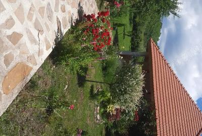 Casă cu 4 camere cu Teren 1415 Mp în Drajna - 2