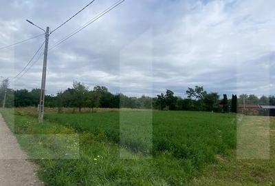 De vanzare teren intravilan 1.080 mp cu utilitati - Dobolii de Jos - 2