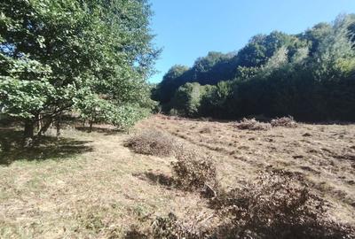 Teren de 4400 mp, în Cugir - 3