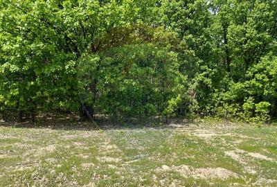 Fost Conac cu padure si teren 54h - 8