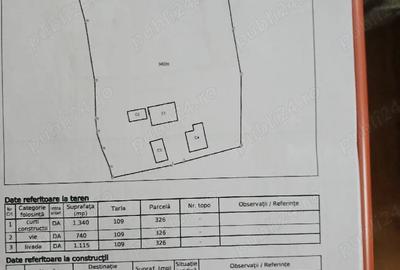 Casă cu Teren 3200 Mp în Grecești - 6