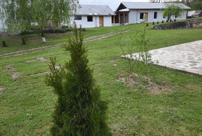 Spațiu comercial, de 723 mp, în Valea Cricovului - 5