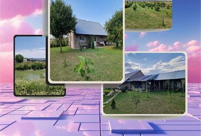 Un colt de rai pe-un picior de plai! CE1210 - 1