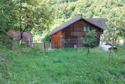 Cabana 3 cam,2 nivele 100 mp+teren extravilan 2,5 ha+1 ha padure,zona Nasaudului - 2