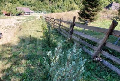 Teren cu autorizatie de constructie, 1130 mp in Muntele Rece - 8
